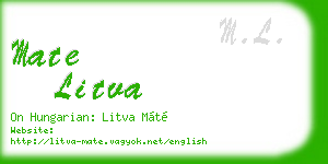 mate litva business card